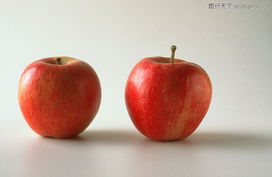 果中百味 從經典圖庫走進繽紛水果世界